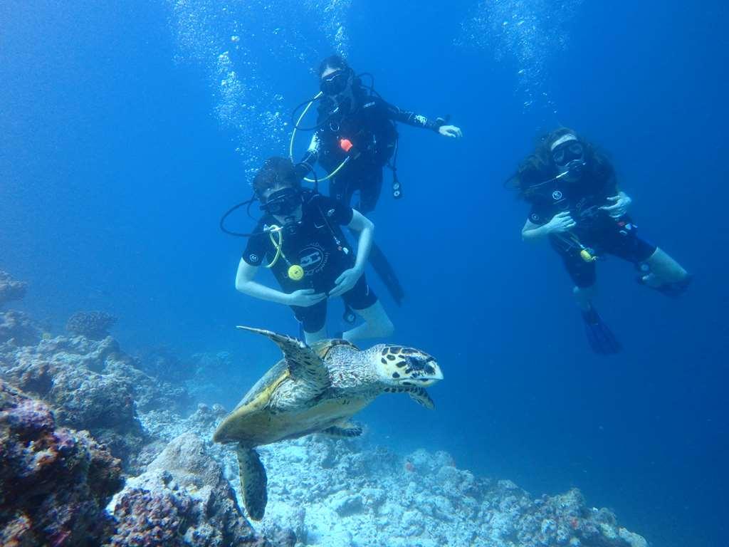 Furaveri Island Resort And Spa Muravandhoo Съоръжения снимка